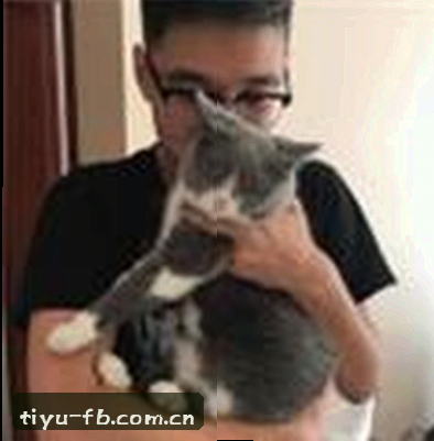 吴婷